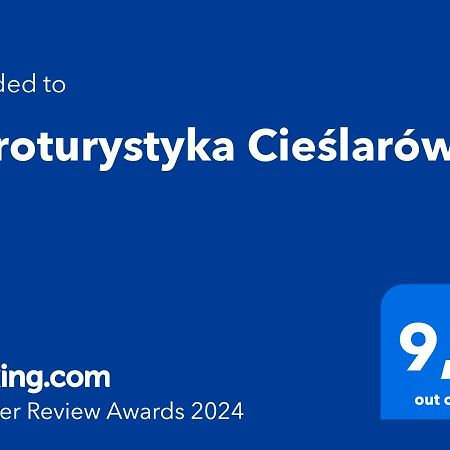 Agroturystyka Cieslarowka Lubawka Eksteriør billede